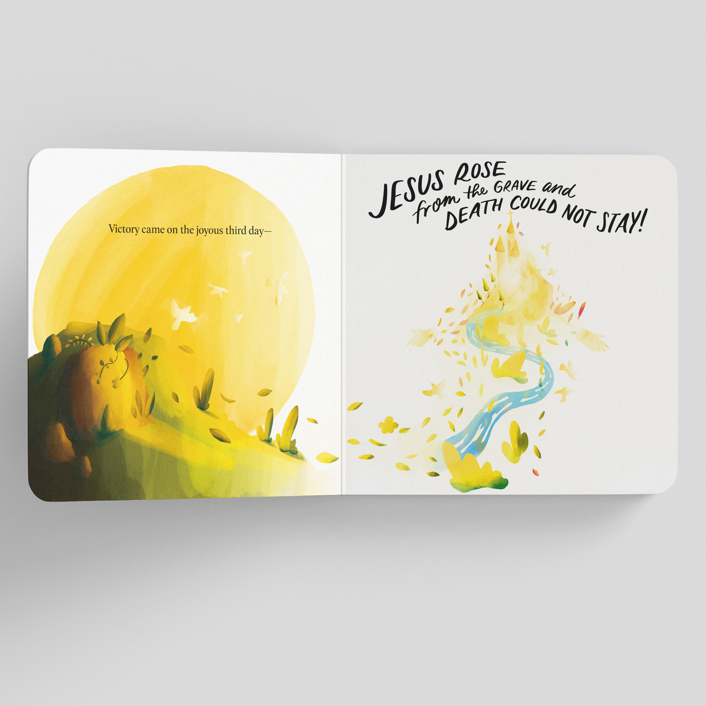 Upside Down Kingdom Board Book Edition (For Toddlers)